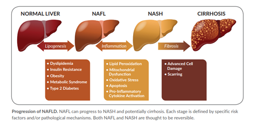 The threat of NASH / NAFLD