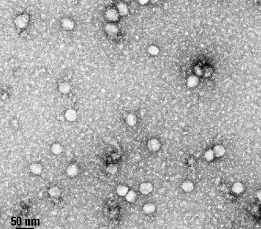 New Product: SmartSEC Mini EV Isolation System