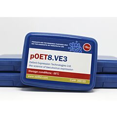 pOET8.VE3 transfer plasmid 