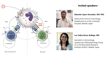 Capabilities of the flow cytometric OX40 assay to determine specific SARS-CoV-2 T cell responses
