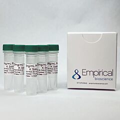 20mg/mL Proteinase K Solution 