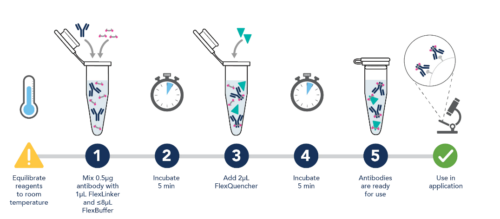 PTG FlexAble Ab Labeling kit protocol