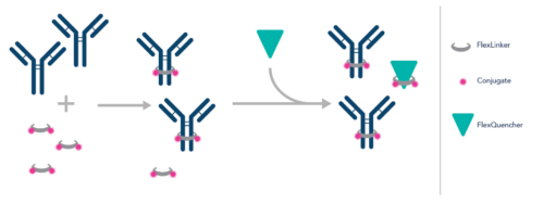 PTG FlexAble Ab Labeling kit 