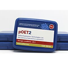 pOET2 transfer plasmid 