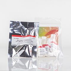 Mix-n-Stain CF740 Nanobody Thiol Labeling Kit, 1x(20-50ug) labeling 