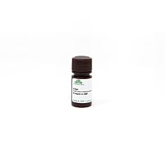 5-bromo-4-chloro-3-indolyl B-D-galactopyranoside (X-GAL) (5 ml) 