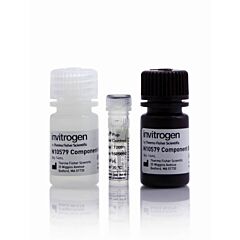 Novabright SEAP RPTR 2 192 ASY 