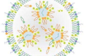 Lipid-Based Nano Drug Delivery