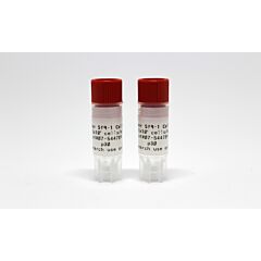 superSf9 1 insect cells 