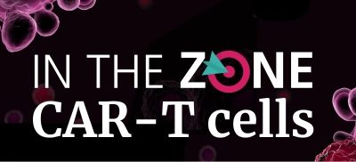 Antibodies for CAR-T Cell Therapy Development