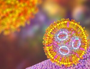 A brief guide to lipid research