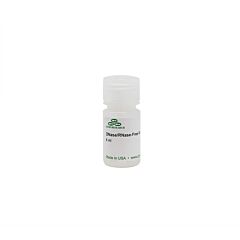 DNase/RNase-Free Water (6 ml) 