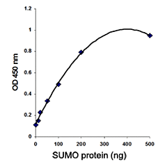 EpiQuik In Vivo Protein Sumoylation Assay Ultra kit 