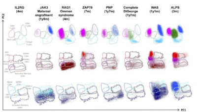 EuroFlow™ Primary Immunodeficiency panels: a powerful tool for diagnostic patient care