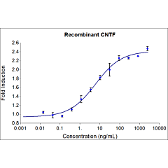 HumanKine recombinant human CNTF protein 