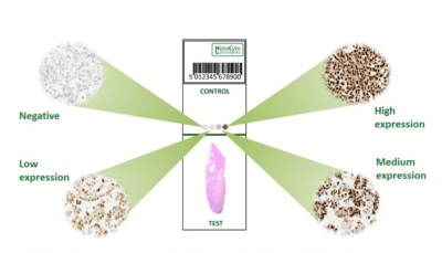 Quality controls: the issue with tissue