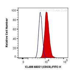 CoraLite Plus 488-conjugated CDC6 Monoclonal antibody 