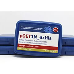 pOETIN 6xHis transfer 
