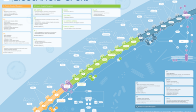 Deorphanized GPR75 Adopted by 20-HETE