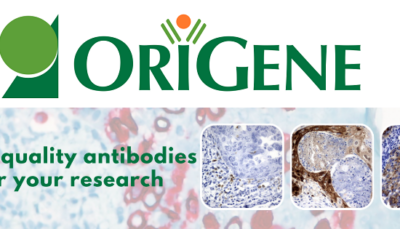 Primary Antibodies by OriGene