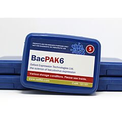 BacPak6 Linearised Baculovirus DNA 