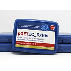 pOET1C 6xHis transfer 