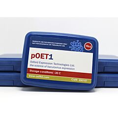pOET1 transfer plasmid 