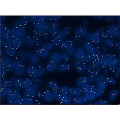 ROS1 Analyte Control 