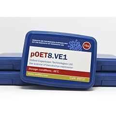 pOET8.VE1 transfer plasmid 
