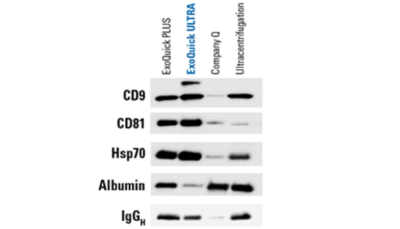 Cancer biomarkers and ExoQuick ULTRA