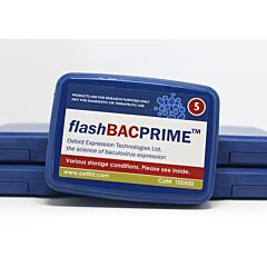 FlashBAC prime 