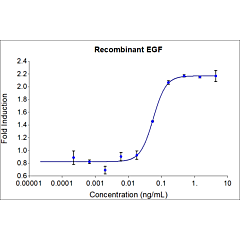 HumanKine recombinant human EGF protein 